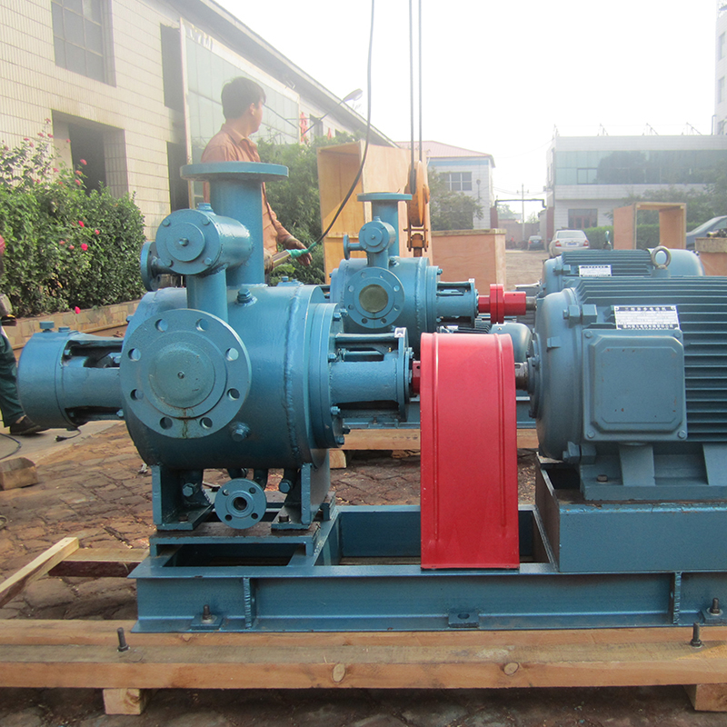 雙(shuang)螺杆泵